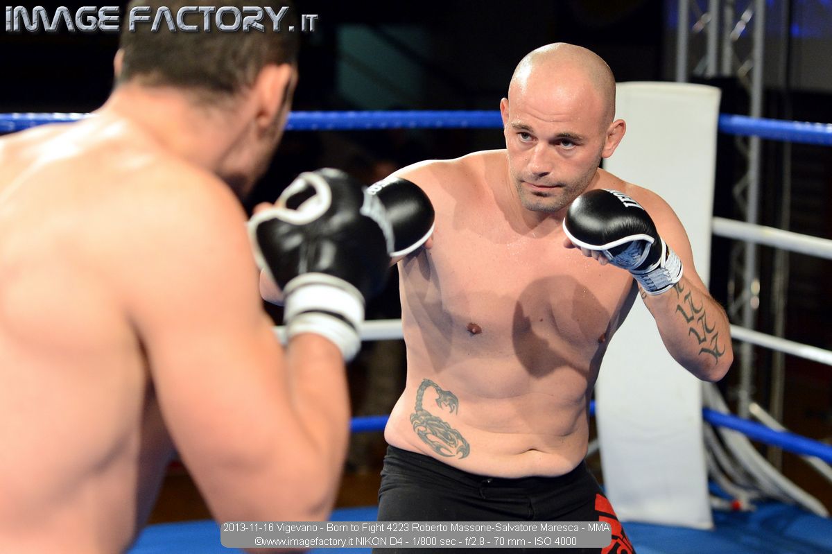 2013-11-16 Vigevano - Born to Fight 4223 Roberto Massone-Salvatore Maresca - MMA